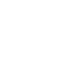 Malelions logo